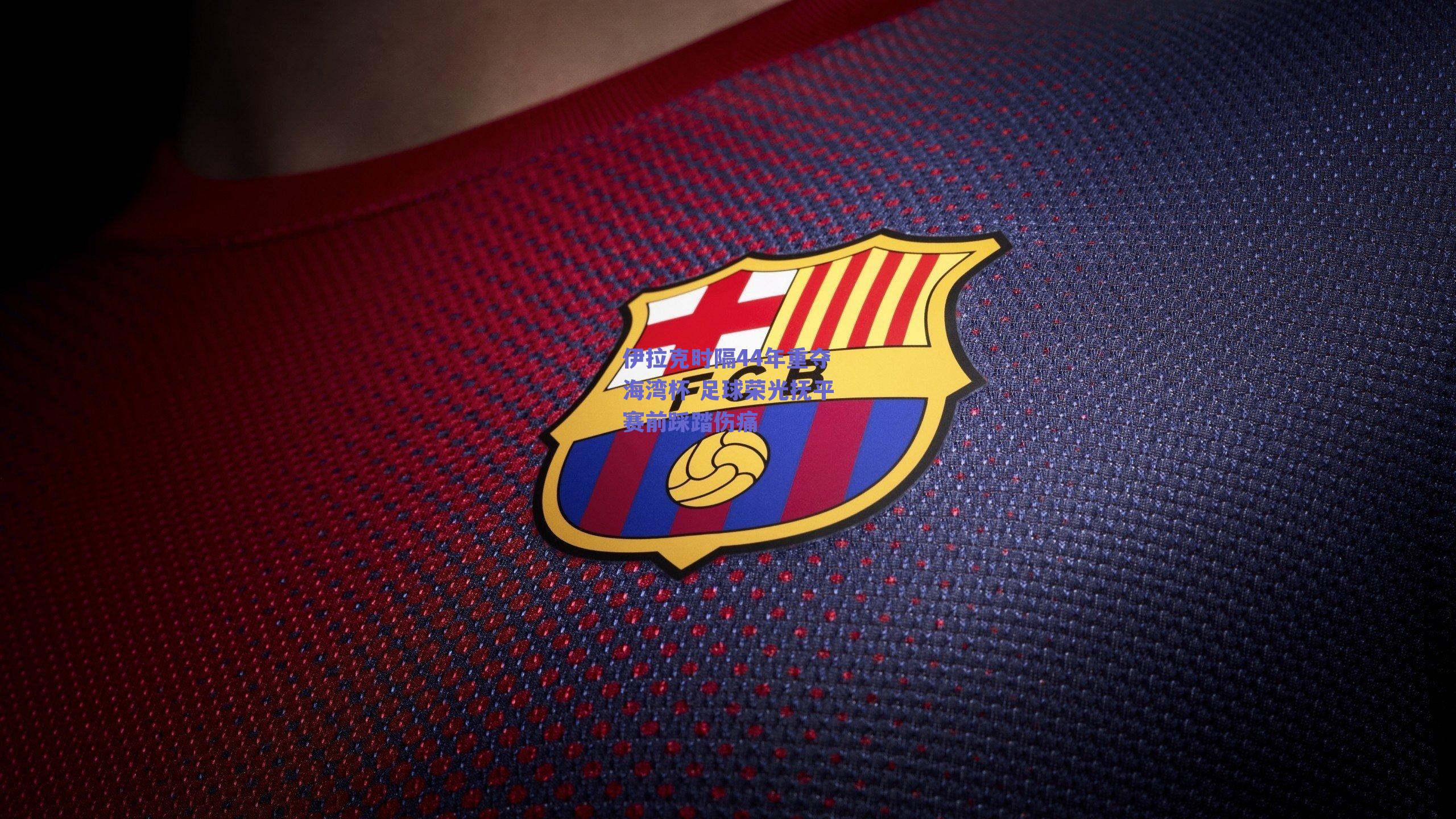 伊拉克时隔44年重夺海湾杯 足球荣光抚平赛前踩踏伤痛